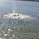 ���� �����, ��������������, 46 ��� - ��������� 4 ������� 2011 � ������ ������ ��