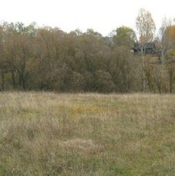 ����, ������, 53 ����