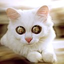 ���� �����:*, ������� ������ - ��������� 21 ������ 2013 � ������ ���� ����������