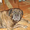 ���� C�������, ������ - ��������� 6 �������� 2011 � ������ �� �� ������� ��������.�