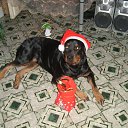 ���� ������, ��������, 33 ���� - ��������� 12 ������ 2011 � ������ �������