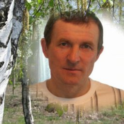 ������, ���������, 66 ���