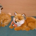 ���� ����/�������.62��., ��������, 39 ��� - ��������� 20 ������ 2010 � ������ ���� ����������