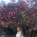  Kate Leini, , 35  -  27  2012