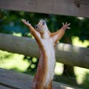 ���� ������, ������ - ��������� 29 ��� 2013 � ������ ������ ��������