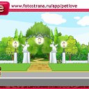 ���� ����, ������, 45 ��� - ��������� 13 �������� 2010 � ������ �PetLove�