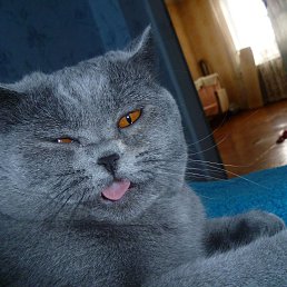 ���� ������, ������� - ��������� 1 ���� 2013