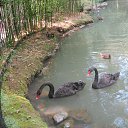 ���� �������, ����, 61 ��� - ��������� 14 ������� 2012 � ������ ���� ����������