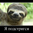 ���� �������, ����������, 38 ��� - ��������� 31 ��� 2012 � ������ ���� ����������