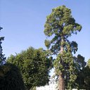 ���� ������, ����, 53 ���� - ��������� 7 �������� 2010 � ������ ��� �������� )�