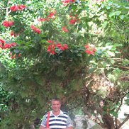 �������, 65 ���, ���������