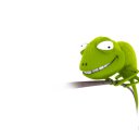 ���� ������ (� �������), ������, 45 ��� - ��������� 20 ��� 2010 � ������ �������