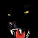 ���� ����, ���������� �����, 53 ���� - ��������� 12 ��� 2012