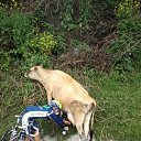 ���� �������, �����������, 64 ���� - ��������� 27 ������� 2013 � ������ ������ �������