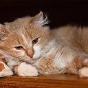 ���� ������, ������, 58 ��� - ��������� 3 ������ 2012 � ������ �12�