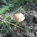 ���� ������, ������, 69 ��� - ��������� 25 ������� 2012 � ������ �������