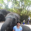  .., , 58  -  13  2013    