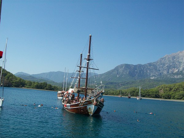 :      -  .  !!!, 43 , 