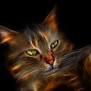 ���� ������, �����������, 48 ��� - ��������� 23 ����� 2013