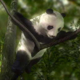 ���� ����, ������ - ��������� 20 ������ 2010