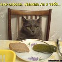 ���� ������, ����� - ��������� 9 ������� 2010 � ������ �������� � ���������