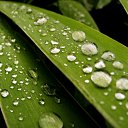 ���� ������, ����� - ��������� 8 ���� 2010 � ������ ����������