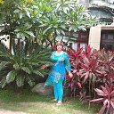 �������, �. �����, ��� 2013 �� ������� ���� ����������