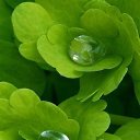  Back To Real Life, , 57  -  6  2012    