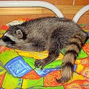 ���� �����-��, ����, 45 ��� - ��������� 20 ������ 2010 � ������ ���� ����� ��, ����� !�