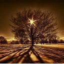 ���� �����, ������, 26 ��� - ��������� 25 ���� 2010 � ������ �������