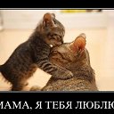 ���� ����, ����, 50 ��� - ��������� 16 ������ 2010 � ������ �������