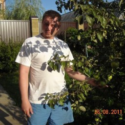 �������, ���������, 46 ���