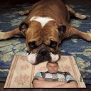 ���� �������, ��������, 38 ��� - ��������� 30 ������ 2013