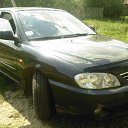 ���� �������, ������, 33 ���� - ��������� 4 ������� 2012 � ������ ���� ����������