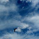 ���� �����, ������� �������� - ��������� 25 ���� 2013 � ������ ���� ����������