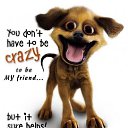 ���� A1703, �����-���������, 45 ��� - ��������� 15 ������� 2011 � ������ �������