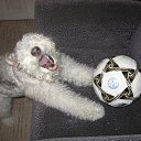 ���� ���������, �����������, 47 ��� - ��������� 13 ��� 2011 � ������ ���� ����������