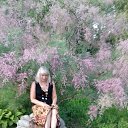 ���� ������, ������ - ��������� 19 ���� 2013 � ������ ���� ����������