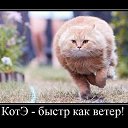 ���� Serega, ��������� - ��������� 24 ��� 2013 � ������ ���� ����������