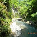 ���� �������, ����, 46 ��� - ��������� 1 ��� 2012 � ������ ����������� �������-�.����-�������� �������