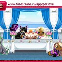 ���� =���=317, ������ - ��������� 28 ������� 2010 � ������ �PetLove�