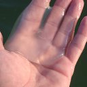 ���� ������, ������, 42 ���� - ��������� 29 ������� 2011 � ������ �������