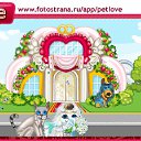 ���� Sem, �����, 53 ���� - ��������� 23 ������ 2011 � ������ �PetLove�
