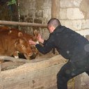 ���� �����, ����, 43 ���� - ��������� 6 ������ 2011 � ������ ���� ����������