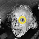 ���� ���������, ������, 48 ��� - ��������� 1 �������� 2012