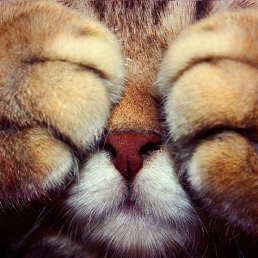 ���� ������, ������, 28 ��� - ��������� 6 ������ 2013