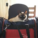 ���������� � ������ �� ������� ���� ��������