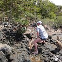 ���� ����, ���� - ��������� 26 ������ 2012 � ������ ���� ����������