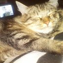 ���� ���������, ����, 43 ���� - ��������� 18 ���� 2012