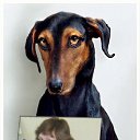 ���� ����, �����, 62 ���� - ��������� 8 ���� 2010 � ������ �������